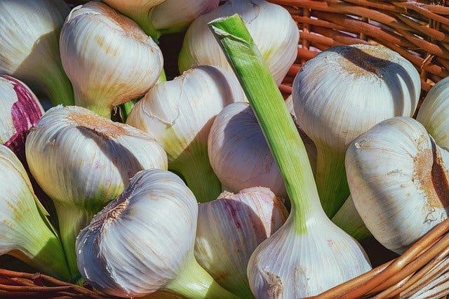 День любителей чеснока (Garlic Lovers Day)