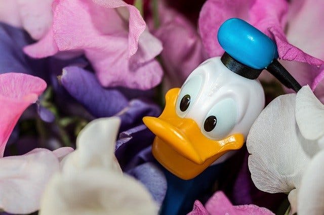 Національний день Дональда Дака (National Donald Duck Day) - США